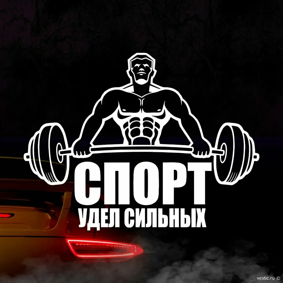 Спорт